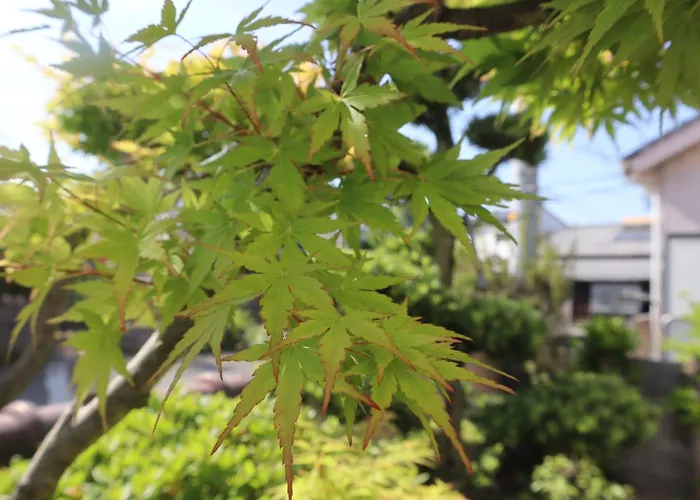 立花荘