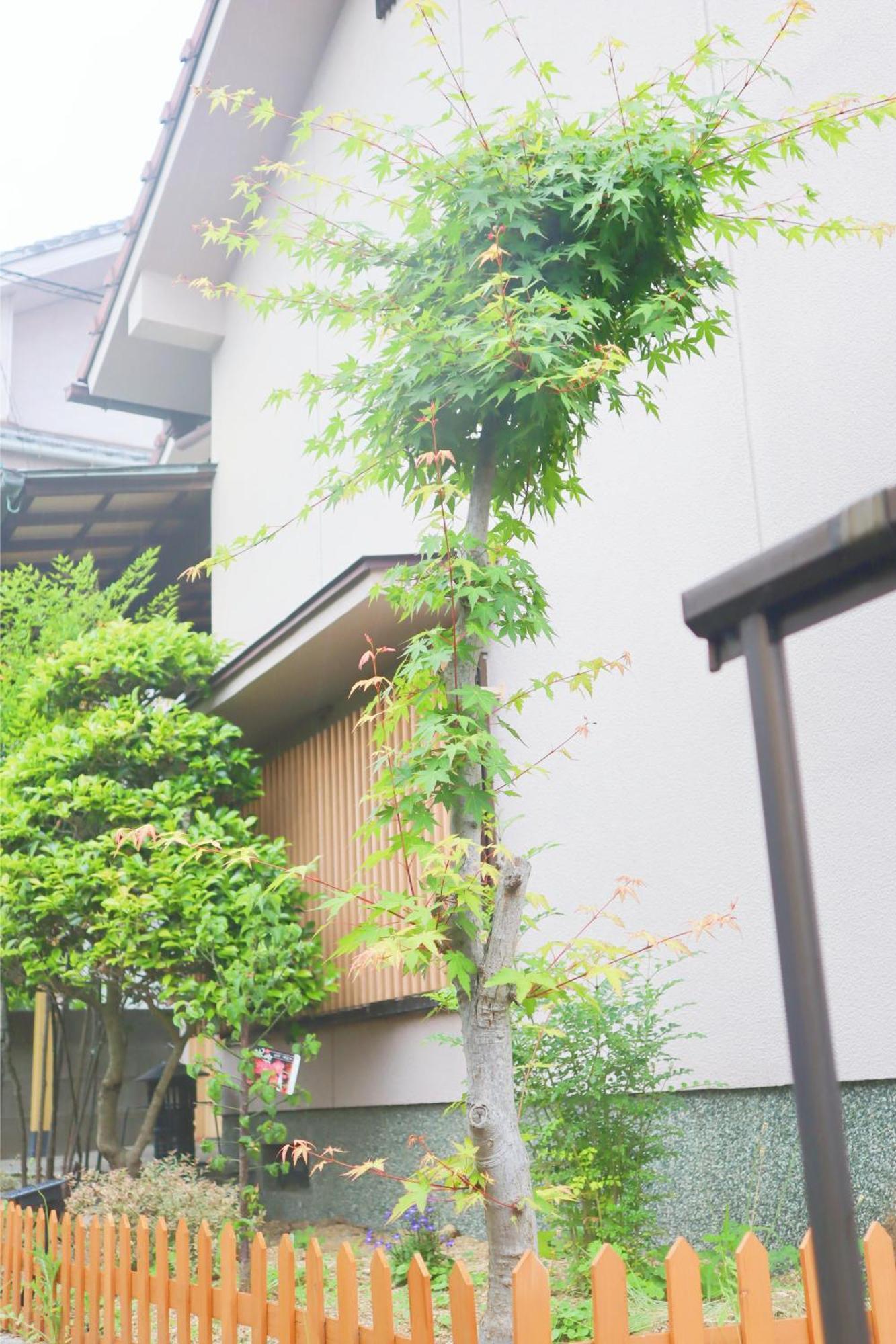 Holiday home 立花荘 Matsuyama (Ehime)
